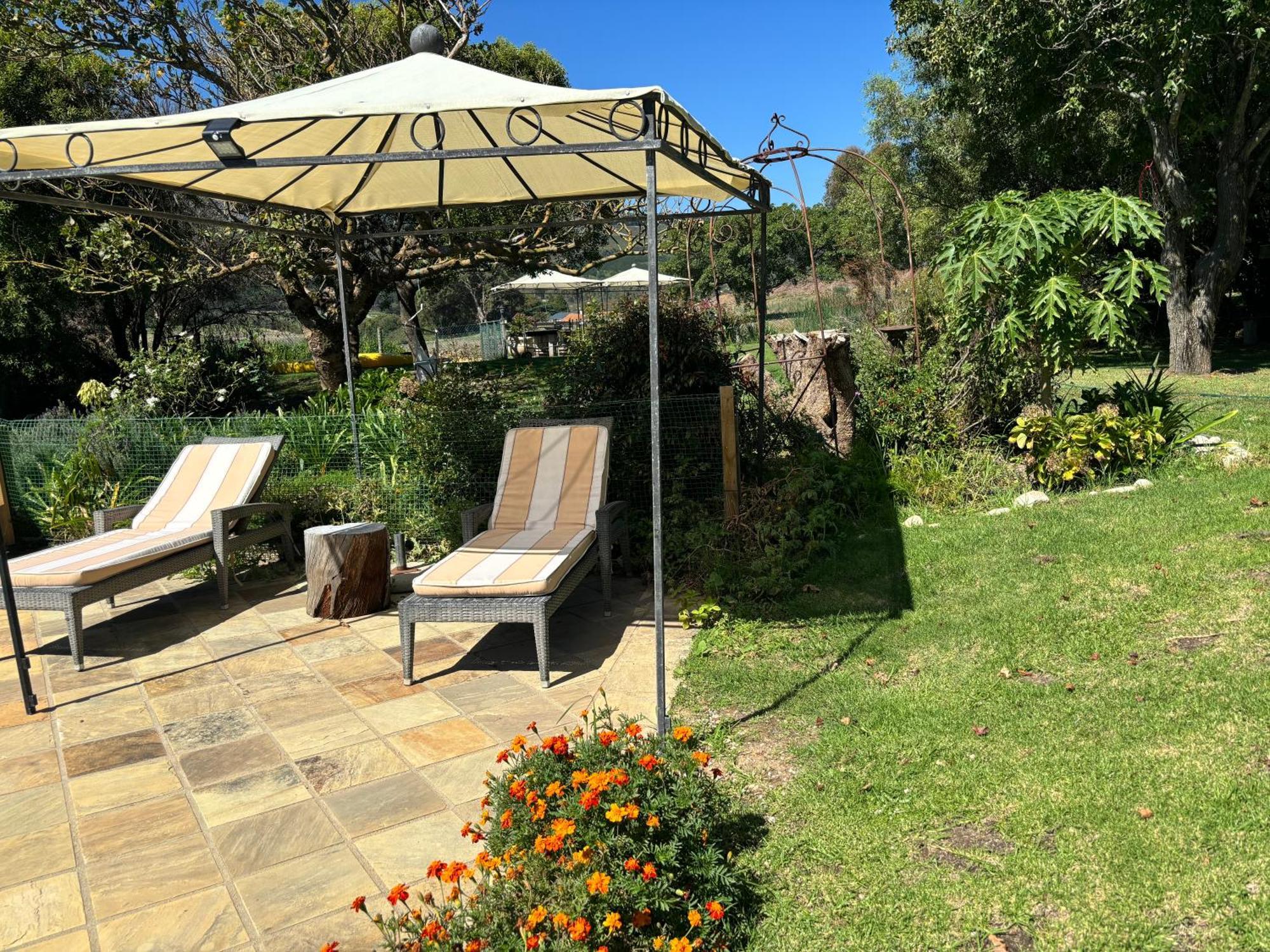 In The Vine Country Manor Guesthouse 스텔렌보스 외부 사진