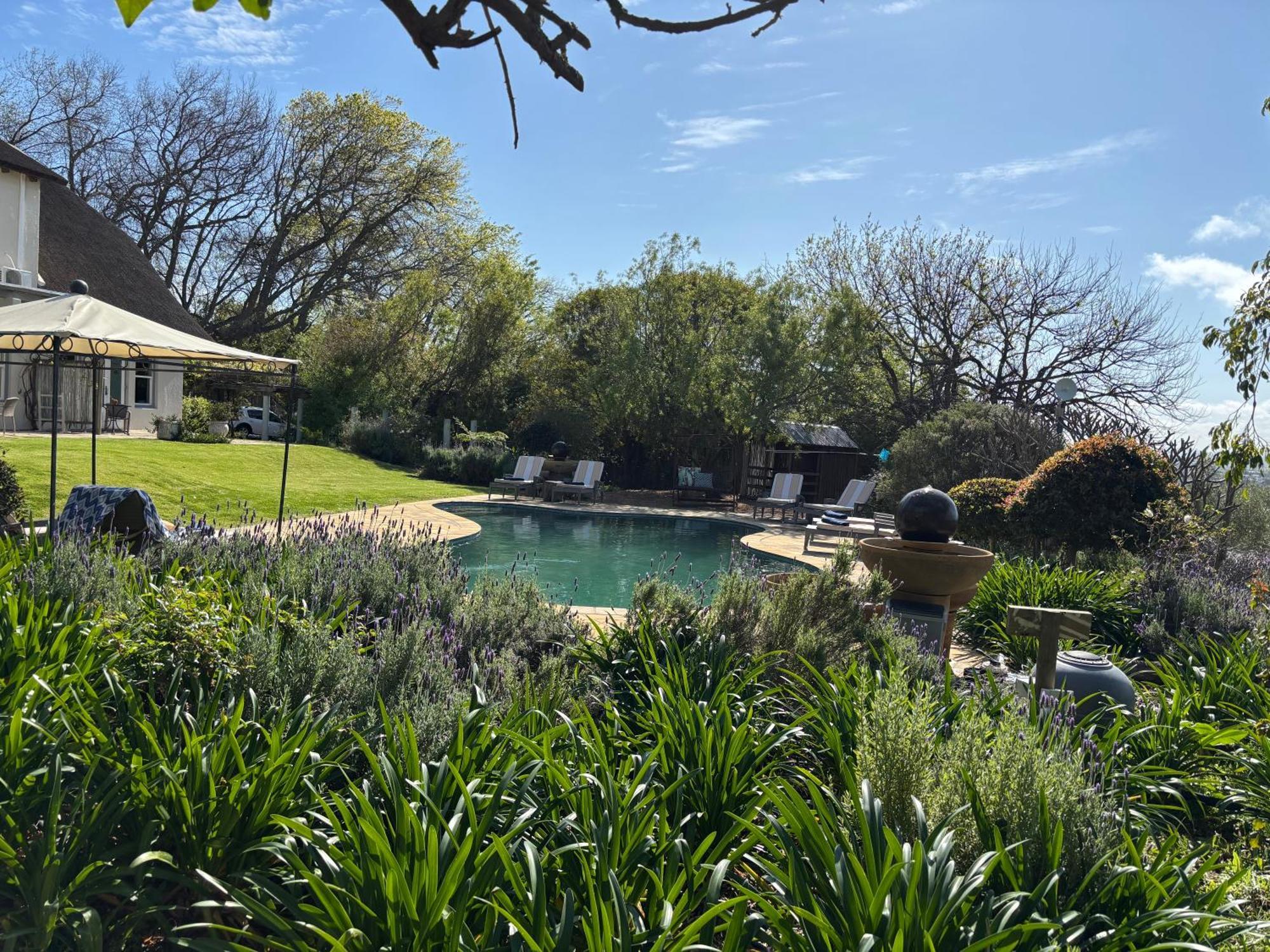 In The Vine Country Manor Guesthouse 스텔렌보스 외부 사진