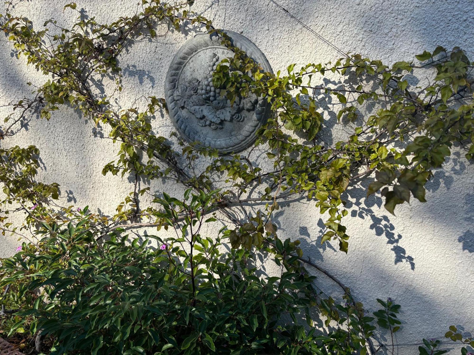 In The Vine Country Manor Guesthouse 스텔렌보스 외부 사진